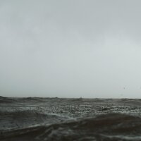 Dichosa Melodía - Música de la Naturaleza & Musica relajante & Música Relajante para Perros