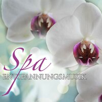 Sich Gewitter - Marvin Spa