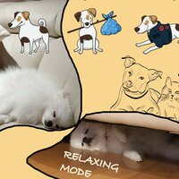 Wiener Philharmoniker Fanfare - Relaxing Mode & Рихард Штраус