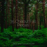 Ocean's Lapping - The Sleep Specialist & Tonal Meditation Collective & Healing Sounds for Deep Sleep and Relaxation