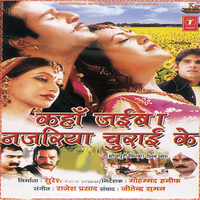 Laage Na Jiyra Tohre Bina - Udit Narayan & Madhu Shree