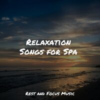 Whistling Trees - Life Sounds Nature & Academia de Música para Massagem Relaxamento & Meditation Relaxation Club