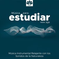 Toque de Seda - Agua Del Mar