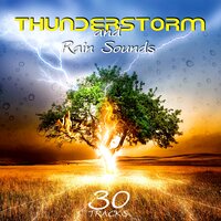 Mountain Thunderstorm - Healing Rain Sound Academy