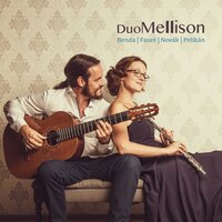 Sonata in F Major: No. 3, Vivace - Duo Mellison & Frantisek Benda