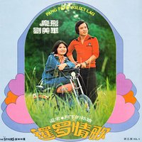 茶山情歌 - The Stylers & 龐飛 & 劉美華 & 龐飛, 劉美華