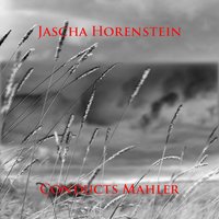 Kindertotenlieder: No. 2, Nun seh' ich wohl, warum so dunkle Flammen - Bamberg Symphony Orchestra & Jascha Horenstein & Norman Foster & Густав Малер