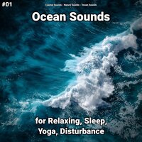 Ocean Sounds Part 42 - Coastal Sounds & Nature Sounds & Ocean Sounds