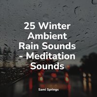 Pouring Rains - Meditation & Stress Relief Therapy & Tailormade Ocean Waves & Natural Sample Makers