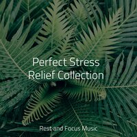 Breathing Deeply - Nature Sounds Nature Music & Oasis de Détente et Relaxation & Sleep Sounds Of Nature