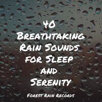 Stream, Close, Fast, Ripple - Asian Zen: Spa Music Meditation & Rain Recorders & Meditation Rain Sounds