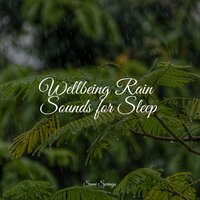 Rain Out Back - Healing Sounds for Deep Sleep and Relaxation & Oasis of Meditation & White Noise Relaxation