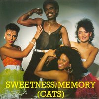 Last Night A D.J. Saved My Life - Sweetness