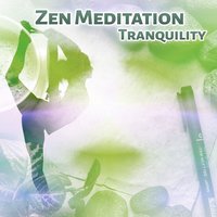 Sleep Music - Relaxation