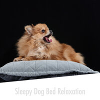 Comfortable Pup Evenings - Calming Doggy Sleep