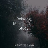 Sunshine Sunday - Yoga Sounds & Tinnitus & Shakuhachi Sakano