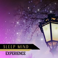 Bedtime Relaxation - Insomnia Cure Music Society