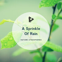 Rain Feeding Roots - Nature Atmospheres & Mother Nature Sound FX