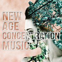 Study of the World - Improving Concentration Music Zone