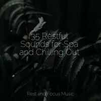 Friendly Melodies - Nature Sounds Nature Music & Soothing Chill Out For Insomnia & Deep Sleep Meditation
