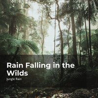 Mellow Rocky Stream - Nature and Rain & Deep Rain Sampling & Jungle Rain