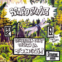 Schaerabeek - Roméo Elvis & Loxley