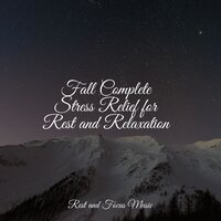 Ambience for Sleeping - Rising Higher Meditation & Ruído branco & Ambiente