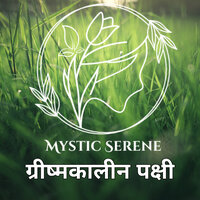 अमेरिकी रॉबिन - Mystic Serene