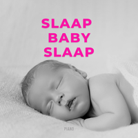 Hoedje Van Papier - Benjamin Bonum Nocte & Slaapliedjes & Slaapliedjes Fee
