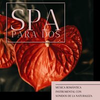 Vacaciones de Spa - Musica de Relajación Academy & Masajes Spa