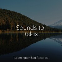 Serenity Ocean - Schlaflieder Relax & Sleep Recording Sounds & Massage Music