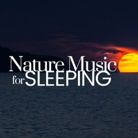 Sleep Time - Nature Necklace