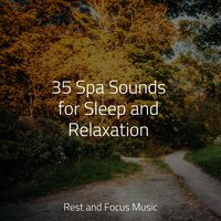 Woodland Murmurs - Calming Sounds & Entspannungsmusik & Sound Sleeping
