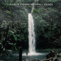 Otter Gorge - Ambient Forest & Ambient Nature White Noise & Natural Sounds