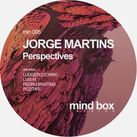 Perspectives - Jorge Martins & Pedro.Martins