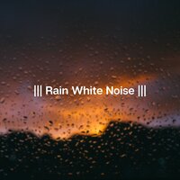 Rain Sounds for Study - Sleep & Rain