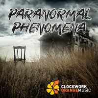 Disturbing Drone - Clockwork Orange Music