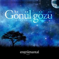 Gönül Gözü - Güncel Paylaşımlar TV