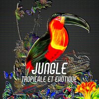 Optimisme de vie - Zone de Détente