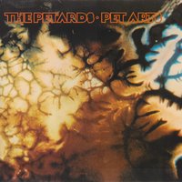 Don't You Feel Like Me - The Petards