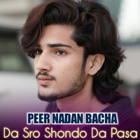 Da Sro Shondo Da Pasa - Peer Nadan Bacha