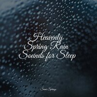 Birds in the Night - Rain Makers & Big Sounds & Calming Sounds