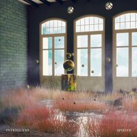 Stargaze - Intriguant