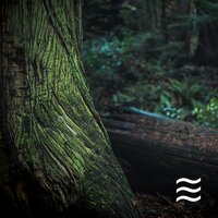 Sleepful Raining for Babies - Sober Rain