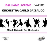 Muro di ghiaccio / Another Brick in the Wall - Orchestra Carlo Gribaudo