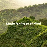 Inner Space - Amazing Spa Music & Spa Music Relaxation & Spa Music & Meditation Collective