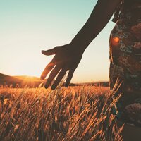 Lofi for Ultimate Relaxation - Lofi Masters & Dream Relaxation & Cozy Relaxation Music