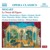 Le nozze di Figaro, K. 492, Act III No. 20: Recitativo - Io vi dico, signor - Marina Mescheriakova & Janusz Monarcha & Bo Skovhus & Renato Girolami & Gabriele Sima & Michelle Breedt & Вольфганг Амадей Моцарт