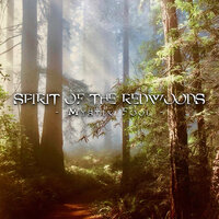 Shine - Ito and the Moonlight Hippies
