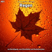 Regen, pt. 81 - Enna Maras & Rain Sounds & Nature Sounds